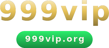 999vip logo